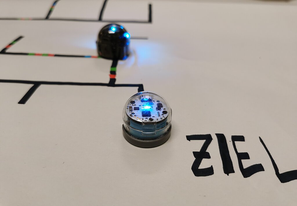 MINT-Club „Programmieren mit dem Roboter Ozobot“